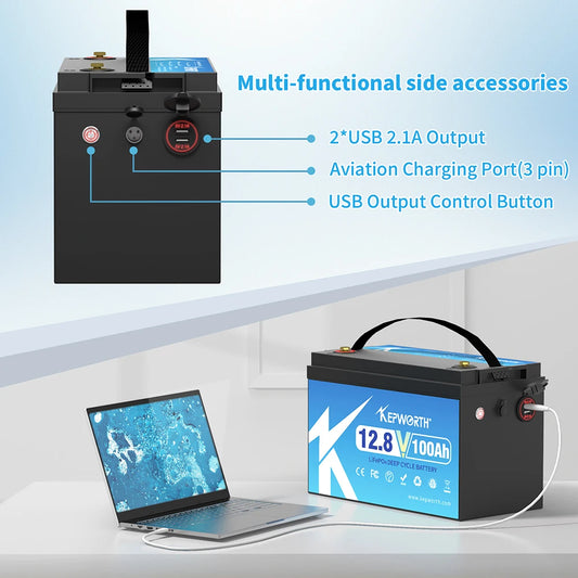 12V 100Ah Lithium Iron Phosphate Battery